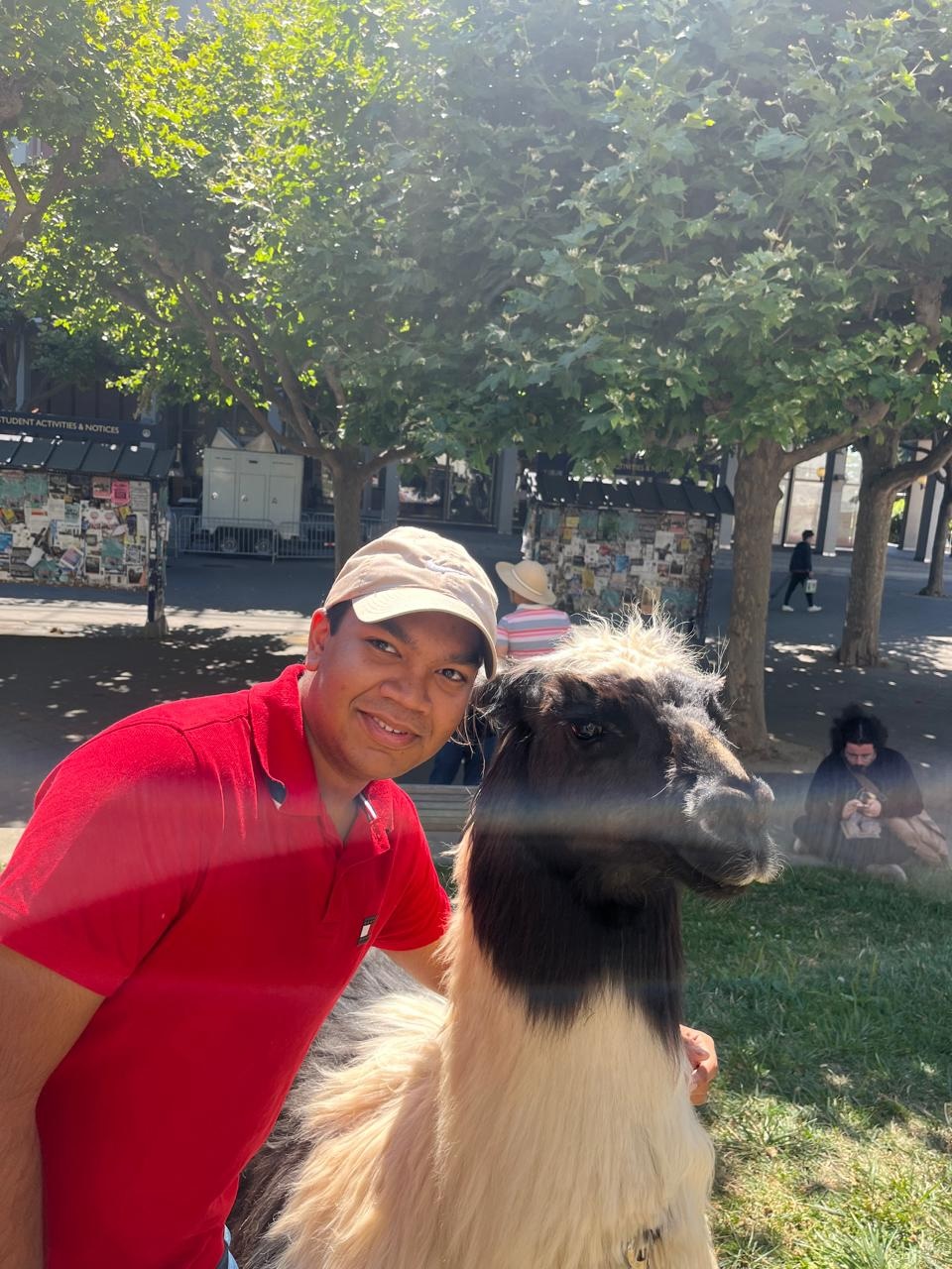 Picture of the author